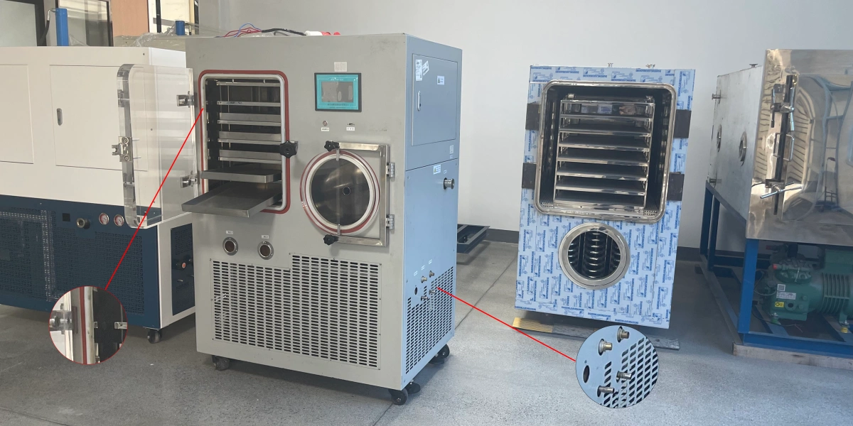 Freeze dryer chamber door gasket sealing and drain valve inspection